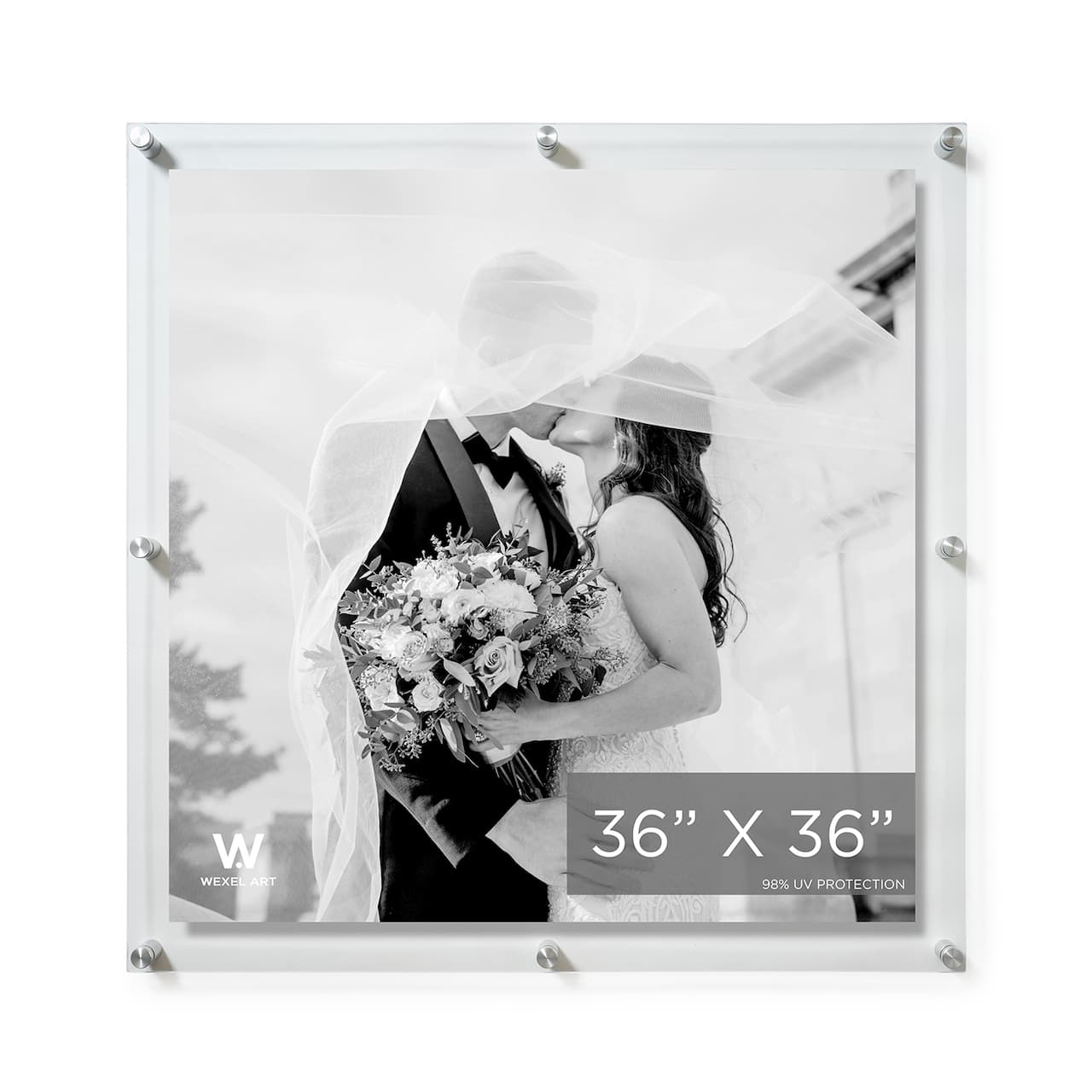 Wexel Art Double Panel Clear Acrylic Floating Wall Frame with Silver Hardware